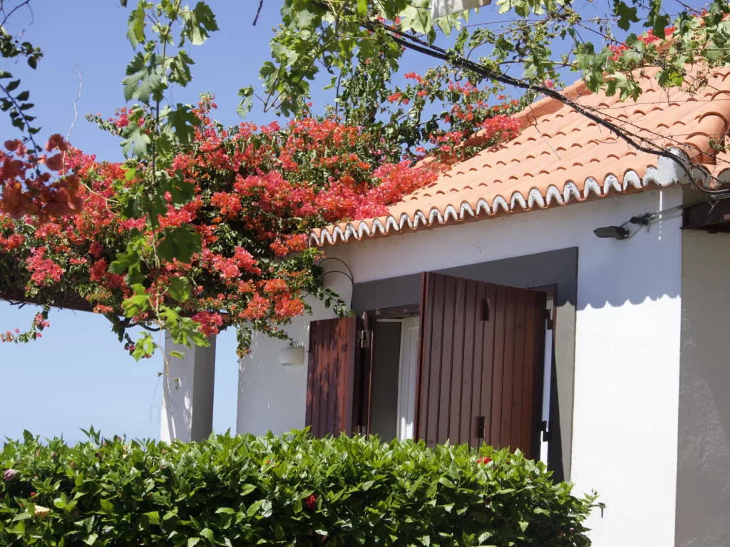 faja-dos-padres-alojamento-boat-house-img-0769