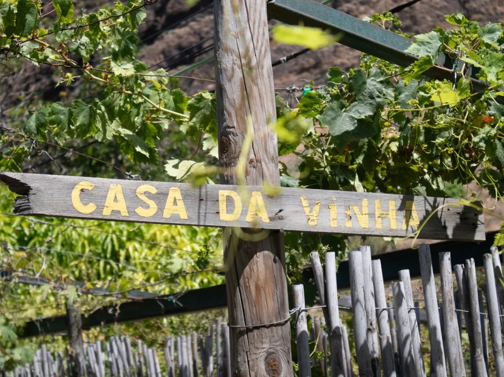 faja-dos-padres-alojamento-vine-house-vine-01