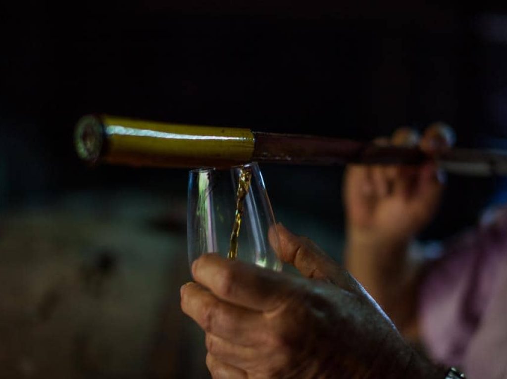 faja-dos-padres-farm-wine-production-wine-glass-01