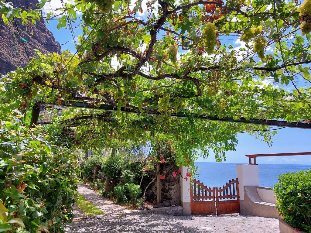 faja-dos-padres-stay-boat-house-exterior-01