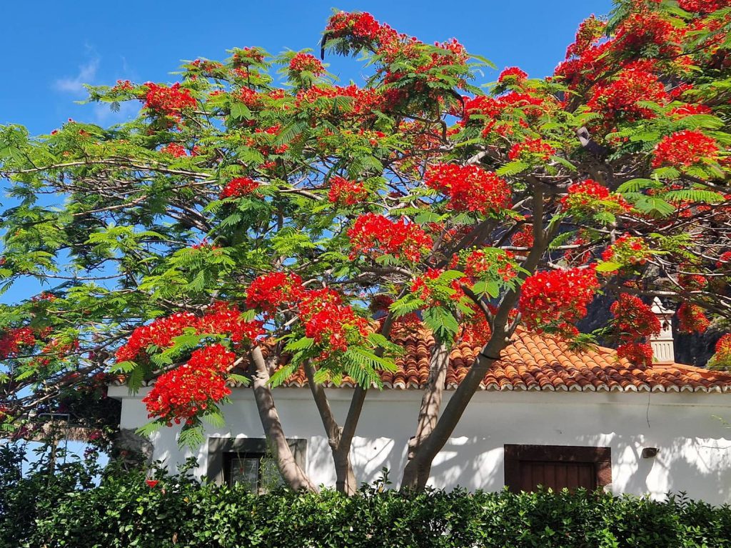 faja-dos-padres-stay-jose-soldado-house-exterior-02